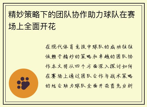 精妙策略下的团队协作助力球队在赛场上全面开花