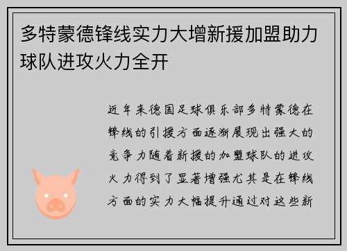 多特蒙德锋线实力大增新援加盟助力球队进攻火力全开