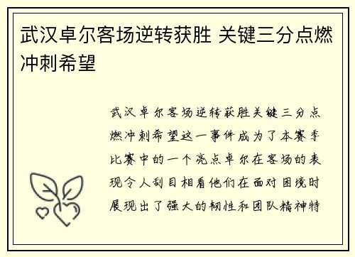 武汉卓尔客场逆转获胜 关键三分点燃冲刺希望
